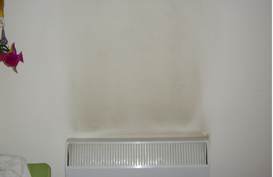 辦公室墻面養(yǎng)護(hù)、保護(hù)