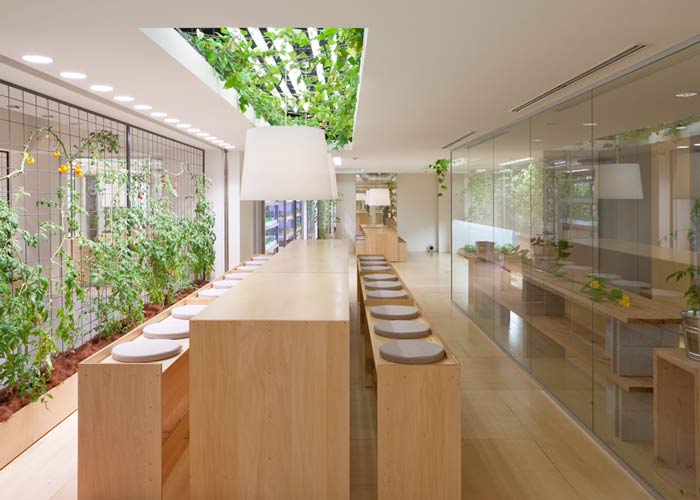 設(shè)置背景，形成對比