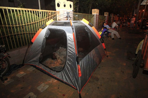 鄭州市新柳路小學(xué)門(mén)前效果圖