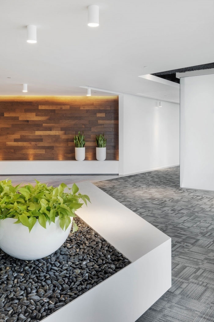 風(fēng)險(xiǎn)投資公司辦公室進(jìn)門(mén)綠化裝修設(shè)計(jì)效果圖